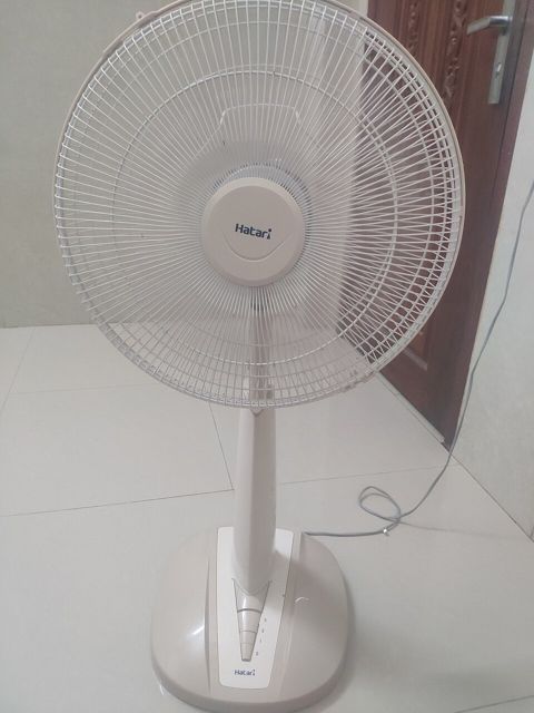 Ventilador de Coluna 50 cm